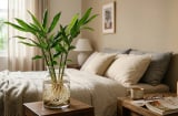 Mẹo trồng gừng thủy sinh nhanh nảy mầm, xanh tươi quanh năm