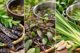 3 loại nguyên liệu quen thuộc dùng gội đầu hỗ trợ tóc mềm mượt, giảm gàu, da đầu sạch thoáng