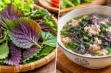 Tía tô ăn sống hay nấu chín tốt hơn?