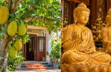 Vì sao người xưa kiêng trồng cây mít trước nhà nhưng lại rất thích gỗ mít làm tượng thờ?