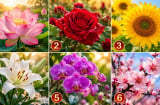 Chọn 1 bông hoa để xem mệnh của bạn giàu có cỡ nào