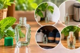 Lọ dầu gió hết đừng vội vứt đi, tận dụng đúng cách vẫn còn những công dụng bất ngờ