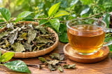 Những người nên cẩn thận khi uống nước xạ đen, không phải ai cũng phù hợp