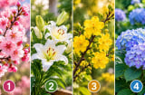 Chọn 1 cành hoa để xem gu thẩm mỹ của bạn