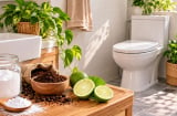 Mẹo khử mùi hôi nhà vệ sinh cực dễ, không cần sáp hay hóa chất tạo thơm