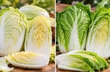 Cải thảo trắng hay cải thảo xanh ngon hơn?