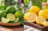 Chanh vàng và chanh xanh loại nào tốt hơn?