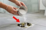 Đổ muối xuống đường ống thoát nước có tác dụng gì?
