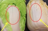 Cải thảo trắng và cải thảo xanh, loại nào ngon hơn?