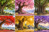 Trắc nghiệm chọn cây cổ thụ bạn muốn ngồi, để xem khả năng nắm bắt của bạn