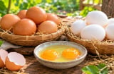Trứng gà vỏ nâu và trứng gà vỏ trắng: Loại nào bổ dưỡng hơn?