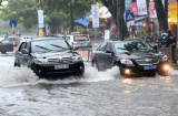 Cách xử lý  khi xe ô tô bị ngập nước vào mùa mưa
