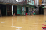 Điểm tin mới 2/11: Nhiều tỉnh miền Trung mưa lớn, hàng ngàn hộ dân ngập chìm trong nước