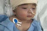 Bé Đức Lộc mắc bệnh não úng thủy: Tình hình sức khỏe MỚI NHẤT của bé sau khi quay lại Singapore để trị bệnh
