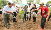 Vinamilk chung tay bảo vệ môi trường thủ đô thông qua quỹ 1 triệu cây xanh cho Việt Nam