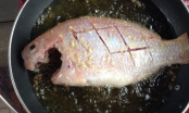 Những sai lầm khi rán cá, khiến cho món ăn mất chất, kém thơm ngon