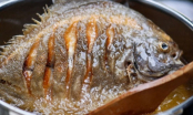 Cách rán cá sai lầm khiến món ăn mất chất, kém ngon ngay cả đầu bếp cũng dễ mắc phải