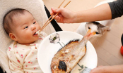 Những loại cá chứa nhiều dinh dưỡng cho trẻ ăn, giúp tăng cường khả năng miễn dịch