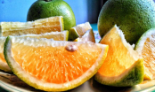 Những lợi ích bất ngờ của quả cam với sức khỏe, cân nặng cũng giảm nhanh trông thấy
