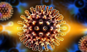 Virus SARS- CoV-2 có khả năng tấn công não bộ của bệnh nhân