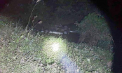 Xe ô tô lao xuống suối trong đêm khiến 6 người thương vong