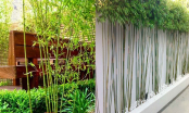 Vì sao các đại gia thích trồng cây tre, trúc Nhật trước cửa biệt phủ nhà mình?