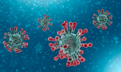 Đã phát hiện ra điểm yếu của virus SARS-CoV-2