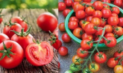 Nhìn vào điểm này: Biết ngay cà chua có ngọt, mọng nước, nhiều thịt và có chất bảo quản hay không