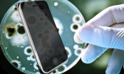 Điện thoại mang nhiều vi khuẩn gấp 10 lần bồn cầu: Vệ sinh theo cách này để điện thoại sạch, không hại sức khỏe