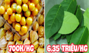 Những thứ ở Việt Nam vứt chỏng chơ sang nước ngoài giá cao ngất: 1 chiếc lá chuối 460k, lá chanh tận 6 triệu/kg