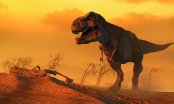 Loài khủng long từng tồn tại trên Trái Đất cách đây hơn 65 triệu năm: Điều gì đã khiến chúng tuyệt chủng?