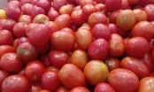 5 cách chọn mua cà chua đúng chuẩn tươi ngon, chín tự nhiên, an toàn cho gia đình bạn
