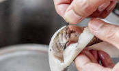 5 bộ phận tạo mùi tanh nhiều nhất trên con cá, khi sơ chế nhớ phải làm thật kĩ