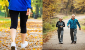 3 điều tốt cho sức khỏe hơn cả đi bộ, sau tuổi 50 vẫn duy trì được sẽ sống rất thọ