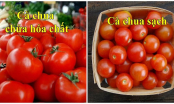 Đi chợ thấy cà chua có 3 dấu hiệu này thì rẻ mấy cũng đừng mua: Có thể là loại bị tẩm hoá chất