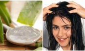 Hậu Côvy tóc rụng cả đám, đây là 6 cách tự nhiên giúp bạn khắc phục hiệu quả tình trạng này