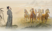 Cổ nhân dạy “Ngựa xem tứ vó, người xem tứ tướng”: Đó là nét tướng gì?