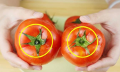 Người bán hàng sẽ không bao giờ cho bạn biết: Mua cà chua tốt nhất nên chọn loại “6 lá