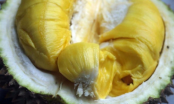 6 lỗi sai tai hại khi ăn sầu riêng mà nhiều người mắc phải nhất