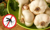 6 mẹo đuổi muỗi trong phòng điều hòa: Sử dụng nguyên liệu nhà nào cũng có