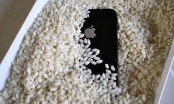 Vùi điện thoại vào thùng gạo, tưởng chẳng để làm gì mà tiết kiệm được tiền triệu