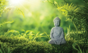 Phật dạy 5 điều không để hậu vận phúc đức dồi dào, đời sau hưởng lộc