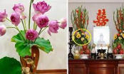 Mùng 1 âm lịch: Đặt loại hoa này lên bàn thờ để phúc lộc dồi dào, cả tháng may mắn tiền vào như nước