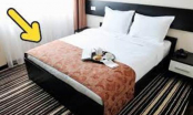 Tại sao khách sạn nào cũng trải một mảnh vải ngang giường? 90% tò mò nhưng không biết sự thật chính xác sau đây