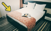 Khách sạn nào cũng để tấm khăn trải ngang giường: 90% người vào để lãng phí