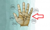 Thần Tài đánh dấu: Lòng bàn tay có 4 dấu hiệu này báo trước vận đỏ số son, số 2 hiếm gặp nhất