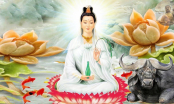 Đức năng thắng số: 3 tuổi sinh ra được Phật Bà Quan Âm che chở, về già tha hồ hưởng phúc