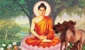 Thánh nhân đãi kẻ khù khờ: 4 tuổi ăn ở hiền lành được Thần Phật che chở, cuối năm trúng quả, ăn Tết to