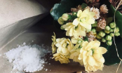 Hoa giả, hoa lụa lâu ngày bám bụi bẩn, áp dụng 7 mẹo này giúp làm sạch nhàn tênh