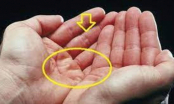 Lòng bàn tay có 6 đặc điểm này báo hiệu vận mệnh giàu sang phú quý, càng già càng phát tài